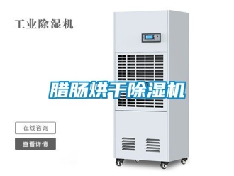 行业新闻腊肠烘干除湿机