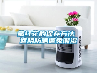 企业新闻藏红花的保存方法 遮阴防晒避免潮湿