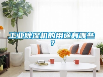 企业新闻工业除湿机的用途有哪些？