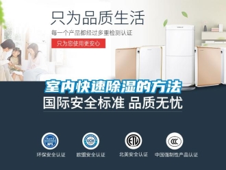 企业新闻室内快速除湿的方法