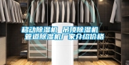 移动除湿机 吊顶除湿机  管道除湿机厂家介绍价格