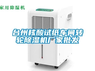 企业新闻台州核酸试纸车间转轮除湿机厂家批发