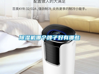 行业新闻除湿机哪个牌子好有哪些