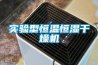 实验型恒温恒湿干燥机