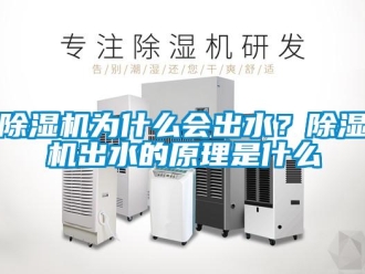 企业新闻除湿机为什么会出水？除湿机出水的原理是什么