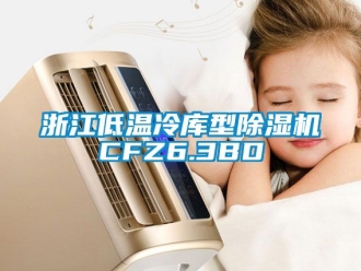 行业新闻浙江低温冷库型除湿机CFZ6.3BD