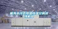 威海水冷式恒温恒湿空调洁净机组