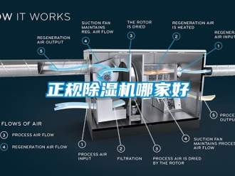 行业新闻正规除湿机哪家好