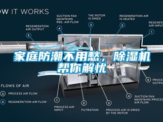 行业新闻家庭防潮不用愁，除湿机帮你解忧