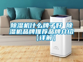 企业新闻除湿机什么牌子好 除湿机品牌推荐品牌介绍【详解】