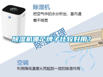 行业新闻除湿机哪个牌子比较好用？