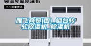 雁飞商贸(图)_烟台转轮除湿机_除湿机