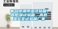 青岛恒温恒湿试验箱，高低温试验箱，高低温交变试验箱厂家