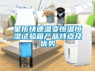 知识百科星拓快速温变恒温恒湿试验箱产品特点及优势
