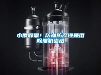 知识百科小雨霏霏！防潮防湿还是用除湿机靠谱