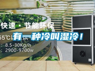 知识百科有一种冷叫湿冷！