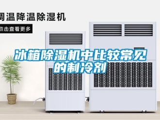 企业新闻冰箱除湿机中比较常见的制冷剂