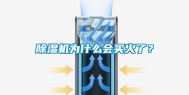 除湿机为什么会买火了？