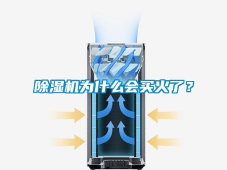 企业新闻除湿机为什么会买火了？