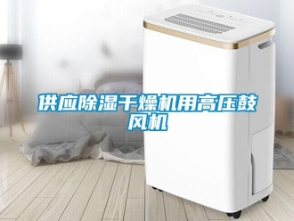 行业新闻供应除湿干燥机用高压鼓风机