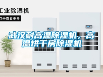 行业新闻武汉耐高温除湿机，高温烘干房除湿机