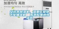安庆市除湿机，湿菱工业地下室抽湿机  库房配电房除湿器