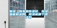 潮湿，真不是除湿袋、除湿盒能解决的，除湿机哪个牌子好