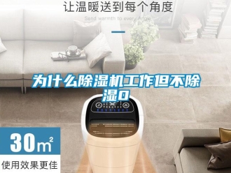 行业新闻为什么除湿机工作但不除湿0