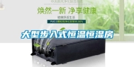 大型步入式恒温恒湿房