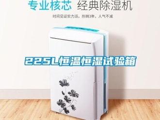 常见问题225L恒温恒湿试验箱