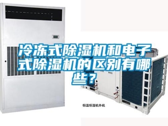 行业新闻冷冻式除湿机和电子式除湿机的区别有哪些？