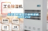 兴安盟防爆型工业除湿机 BCFZ10