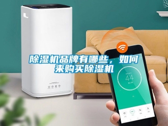企业新闻除湿机品牌有哪些，如何来购买除湿机