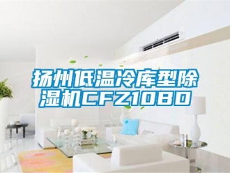 行业新闻扬州低温冷库型除湿机CFZ10BD