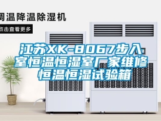 知识百科江苏XK-8067步入室恒温恒湿室厂家维修 恒温恒湿试验箱