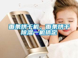 行业新闻面条烘干机，面条烘干除湿一机搞定