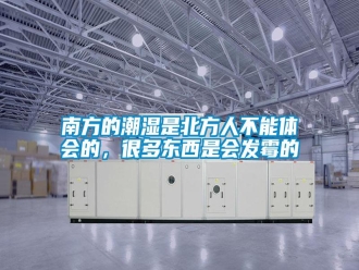 行业新闻南方的潮湿是北方人不能体会的，很多东西是会发霉的