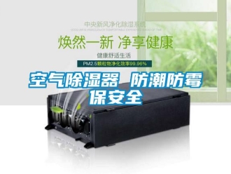 行业新闻空气除湿器 防潮防霉保安全