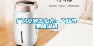 厂房受潮怎么办？工业防潮除湿机