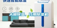 大棚除湿，巧用除湿机