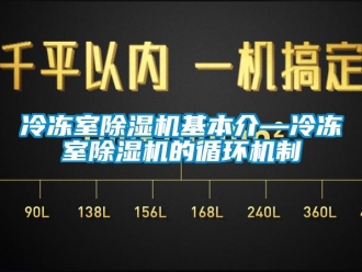 行业新闻冷冻室除湿机基本介—冷冻室除湿机的循环机制