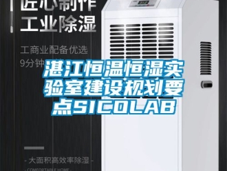 知识百科湛江恒温恒湿实验室建设规划要点SICOLAB