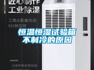 知识百科恒温恒湿试验箱不制冷的原因