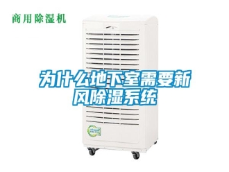 知识百科为什么地下室需要新风除湿系统