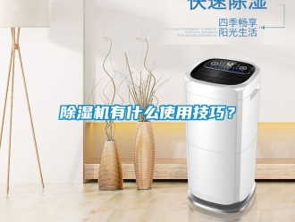 行业新闻除湿机有什么使用技巧？