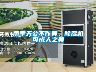 知识百科雨季天公不作美，除湿机可成人之美