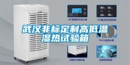 武汉非标定制高低温湿热试验箱