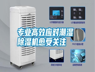 知识百科专业高效应对潮湿 除湿机愈受关注