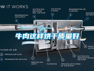 行业新闻牛肉这样烘干质量好