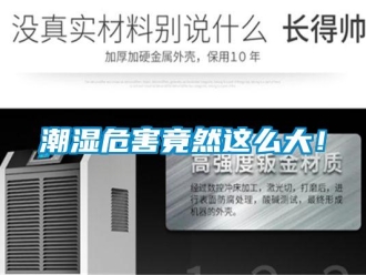 企业新闻潮湿危害竟然这么大！